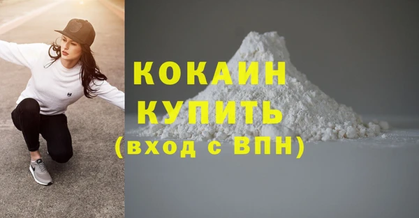 spice Михайлов