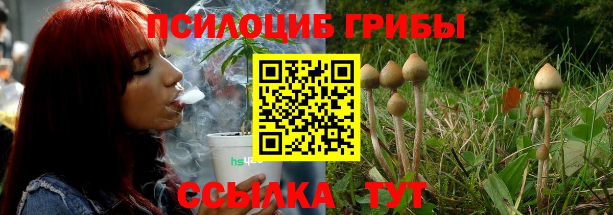 Ухта  Галлюциногенные грибы мухоморы  Вход с VPN 