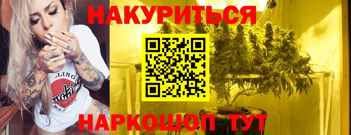 Конопля индика Ухта